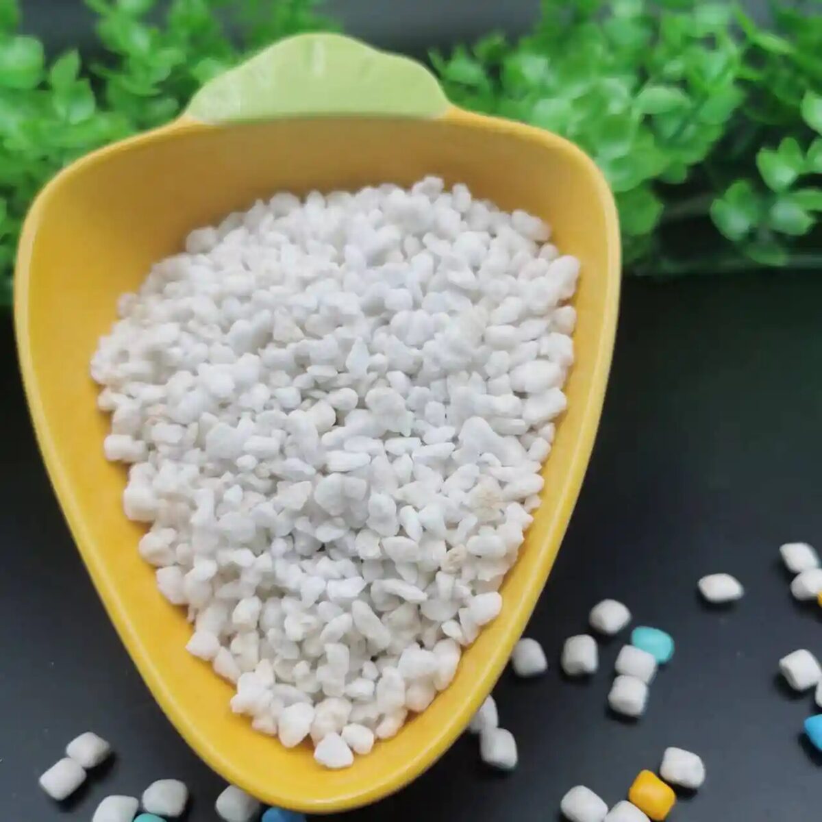 多肉配土为什么要加珍珠岩？七年老花友的颗粒配方