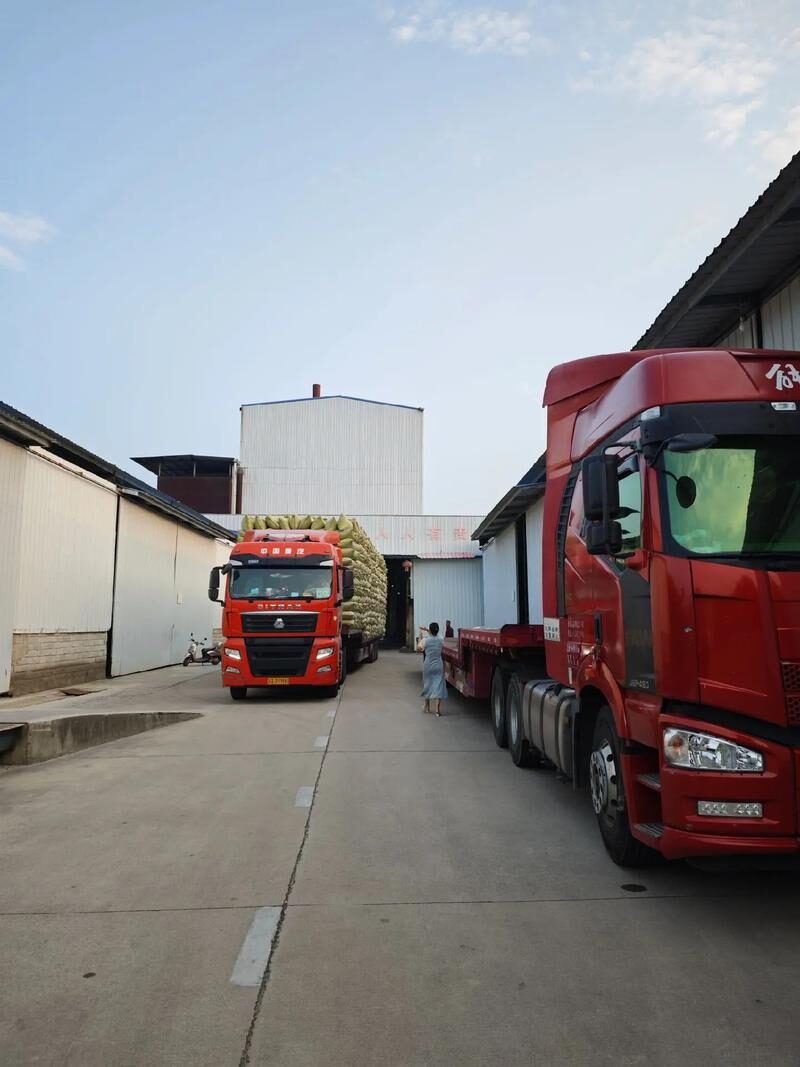 九天建材珍珠岩出口品质控制体系：漂洋过海的每一粒，都要有身份证